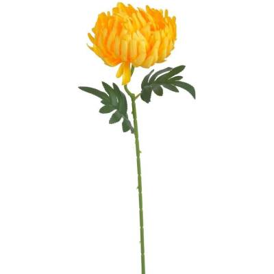Chryzantéma 50 cm - žlutá