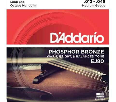 D'Addario EJ80