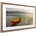 NETGEAR Meural Canvas II 21.5 (MC321)