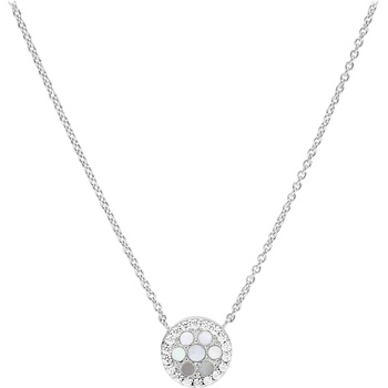 Fossil jfs00520040 (jfs00520040)