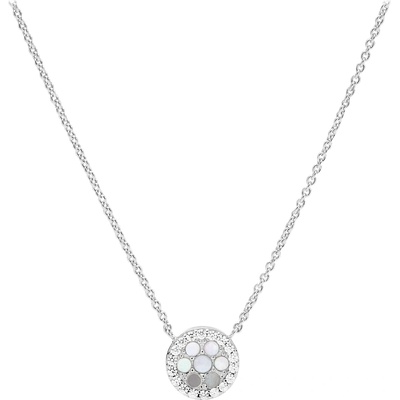 Fossil jfs00520040 (jfs00520040)