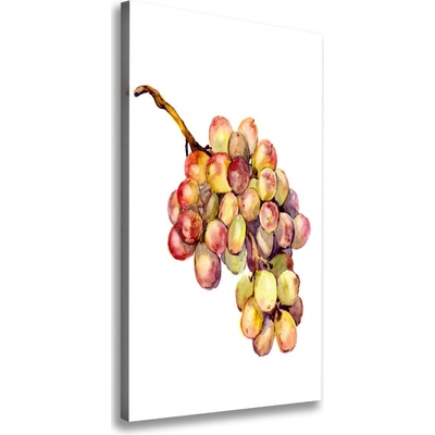 Vertikálny foto obraz na plátne do obývačky Hrozno 50x100 cm