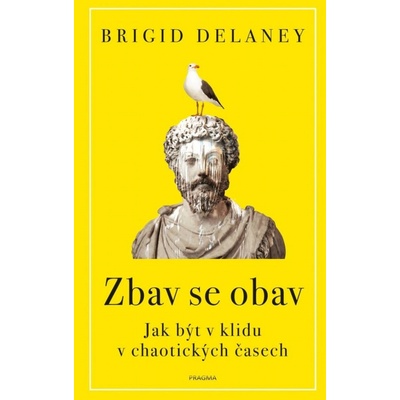 Zbav se obav - Brigid Delaney