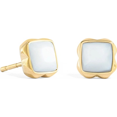 Coeur de Lion náušnice 1301/21-1400