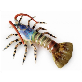 langusta