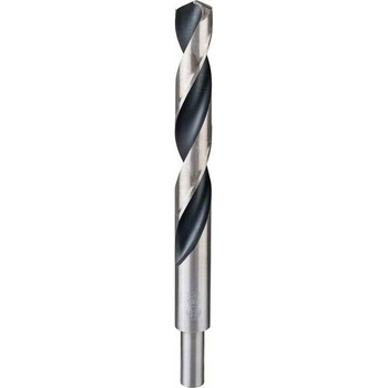 Bosch 2.608.577.313