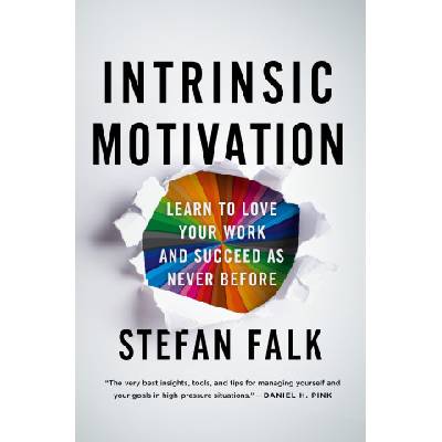Intrinsic Motivation | Stefan Falk