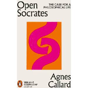 Open Socrates (ISBN: 9780141994833)