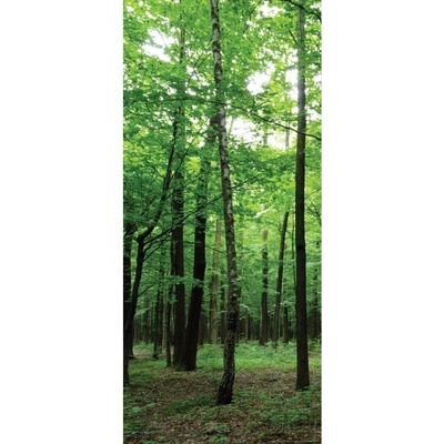 AG Design FTNV-2920 vliesová fototapeta Les rozměry 90 x 202 cm