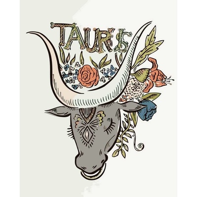 MALUJEŠ Malování podle číse MALOVANÝ TAURUS