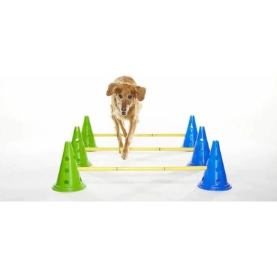 FitPaws CanineGym Sada Agility pro psy