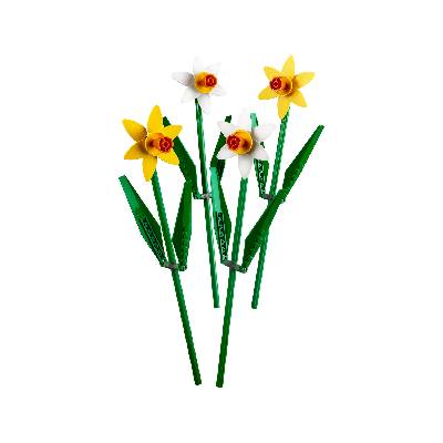 LEGO Icons 40646 Narcisy