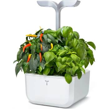 Image 1 of VÉritable (Франция) Настолна домашна градинка Exky® SMART Garden - цвят бял и инокс (VEXK-SAWAS-FR-40)