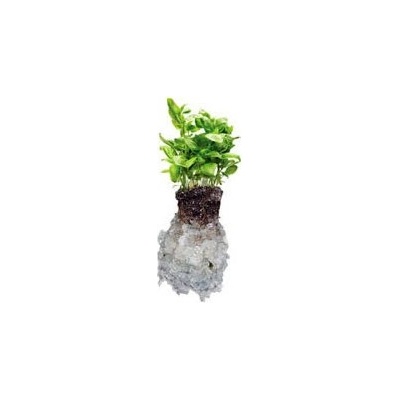 AGRO Hydrogel 25 kg
