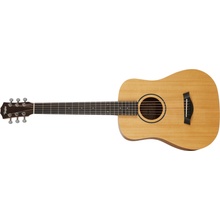 Taylor BT1