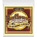 Ernie Ball 2010