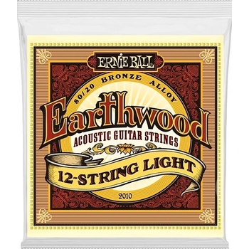 Ernie Ball 2010