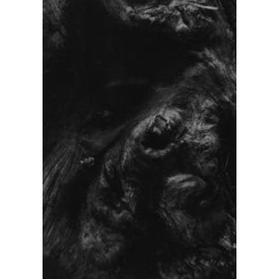 Paysage D'hiver - Steinechhe CD