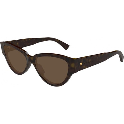 Bottega Veneta BV1319S 002