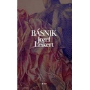 Básnik Jozef Leikert