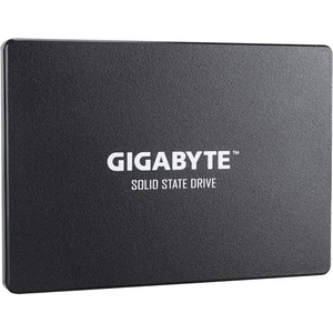 GIGABYTE 2.5 256GB SATA3 (GP-GSTFS31256GTND)