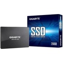 Gigabyte 256GB, SSD, GP-GSTFS31256GTND
