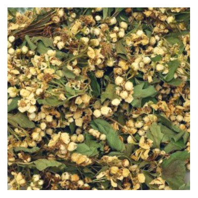 World Herbs Hloh list s květem 100 g
