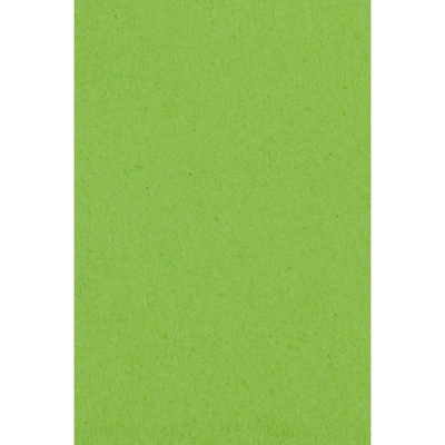 Amscan Зелена покривка за маса 137 x 274 см