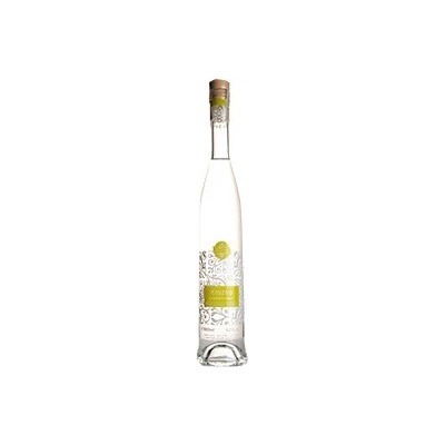 Hrozno Chardonnay Delícia 42% 0,5 l (čistá fľaša)