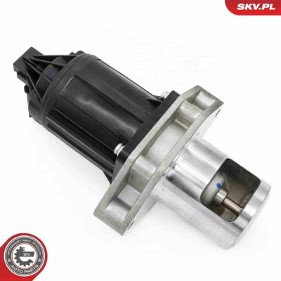 AGR - Ventil ESEN SKV 14SKV284
