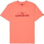 Quiksilver Мъжка тениска Quiksilver EV Vista S/S T-shirt - Desert Sand - размер XL (216-8979-0315)