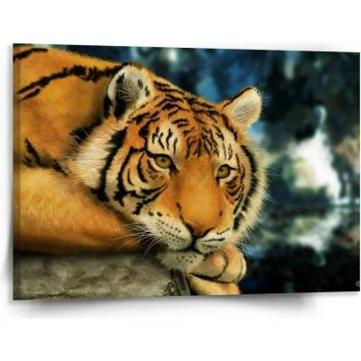 Sablio Obraz Tygr - 150x110 cm