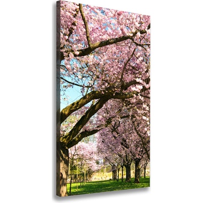 Vertikálny foto obraz canvas Višne 50x100 cm
