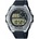 Casio MWD-100H-9AVEF