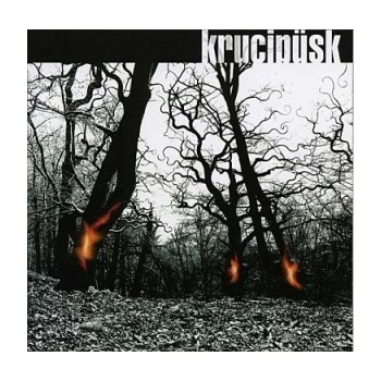 KRUCIPUSK: DRUIDE CD