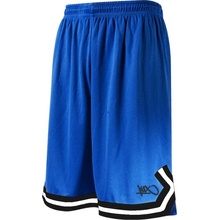 K1X HARDWOOD DOUBLE X shorts 74000005-4557