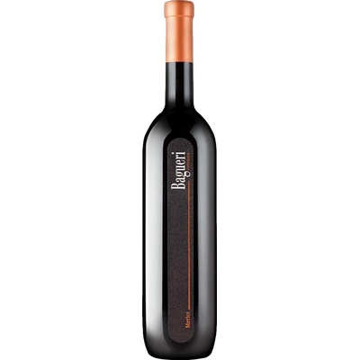 Klet Brda Bagueri Merlot 2020 Červené 13,5% 0,75 l (holá láhev)