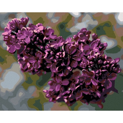 Zuty Malování podle čísel ŠEŘÍK U OKNA II – Zbozi.Blesk.cz