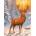 Norimpex - Puzzle Diamant painting: Deer in a snowy forest 30x40cm - 1 - 39 piese