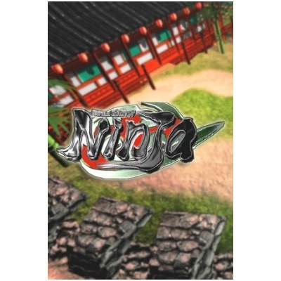 Diorama Battle of NINJA