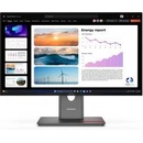 Lenovo ThinkVision P24q-40