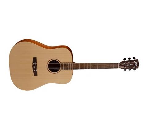 Cort Earth Mini