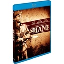Shane BD
