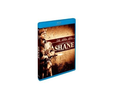 Shane BD