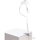 Seletti Sparrow Taking Off 15311