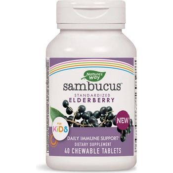 Nature's Way Sambucus for Kids, 40 таблетки, Nature's Way