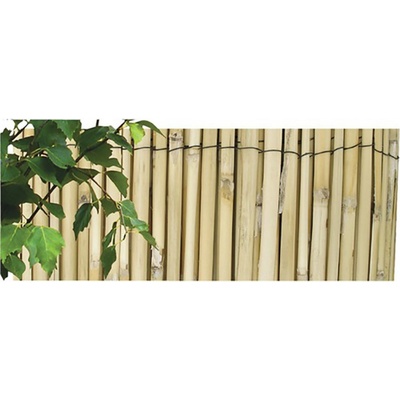 Rohož/rákos št/ 2x5m/PLD/