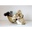 SUCK UK декорация (купа) suck uk - gold skull - sk tidyskull3