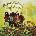 Leaf Hound - Growers Of Mushroom (Green Coloured) (180 g) (LP) (4009910245712)