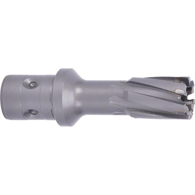 ABSE N-CA-F18-0180035